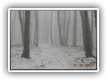 escursione_sanmarcolamis_17