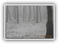 escursione_sanmarcolamis_18
