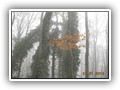 escursione_sanmarcolamis_22