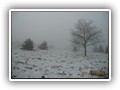 escursione_sanmarcolamis_24