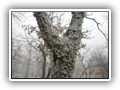 escursione_sanmarcolamis_28
