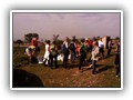 Pulsano 11 Protano