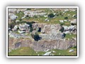 Pulsano 12 Protano