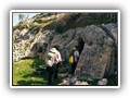 Pulsano 13 Protano