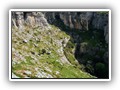 Pulsano 21 Protano
