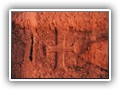 Pulsano 28 Protano