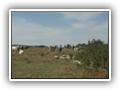 Lago Pescara-Monre Cornacchia10
