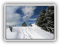foto_di_renzo_infante_4