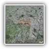 Eseritazione10